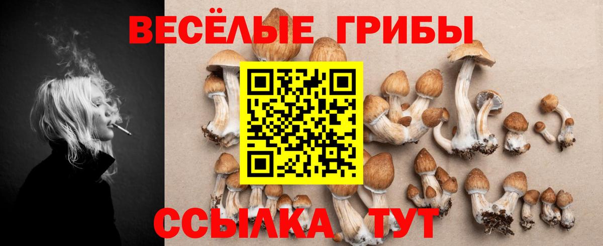 Галлюциногенные грибы MAGIC MUSHROOMS  сколько стоит  Воронеж  Вход с VPN  Галлюциногенные грибы ЛСД 